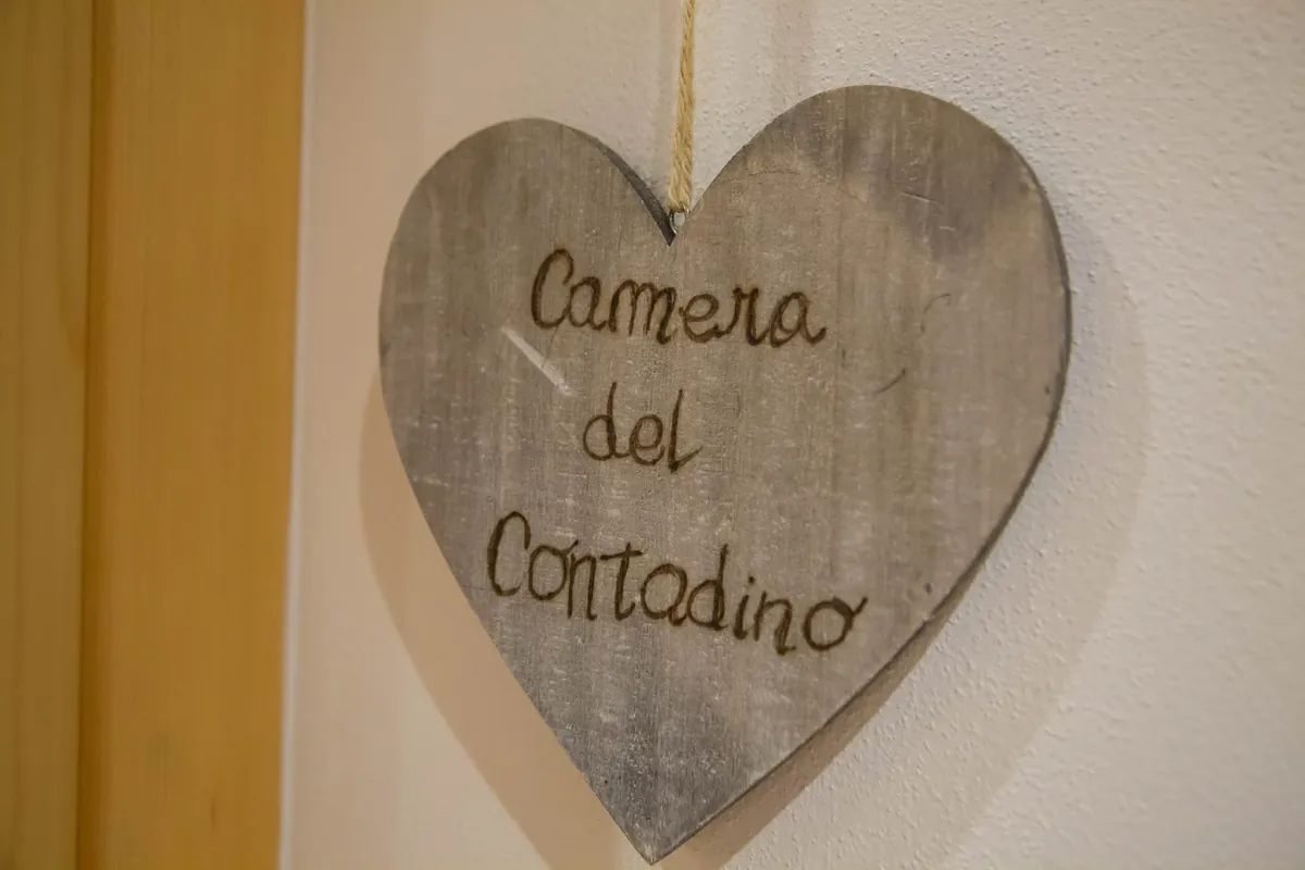 Il cuore di legno della Camera del Contadino