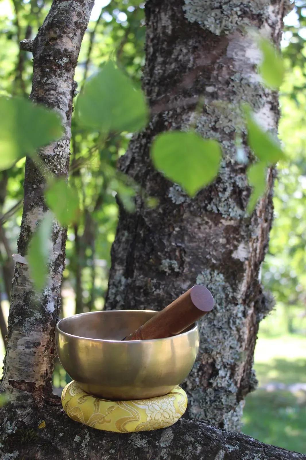 Una campana tibetana tra gli alberi