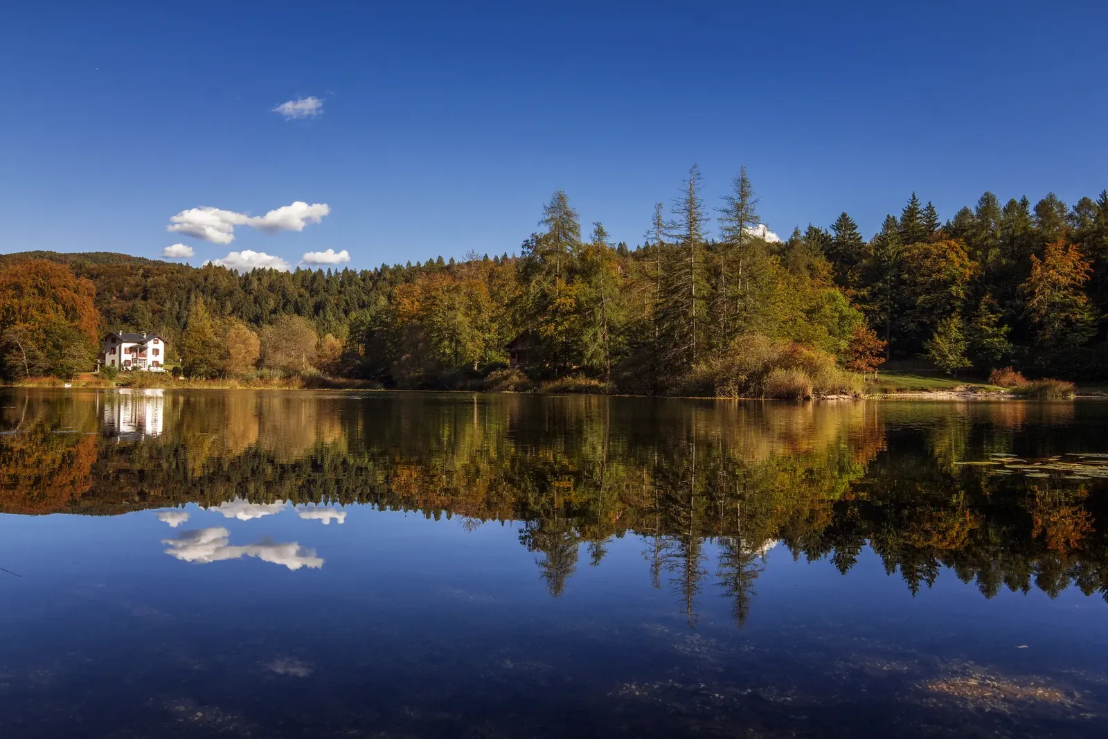 Lago di Cei in autunno, cielo blu e boschi colorati specchiati nell'acqua ferma