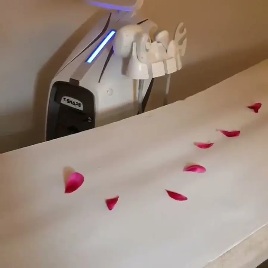 La cabina del T-Shape, con i petali sul lettino